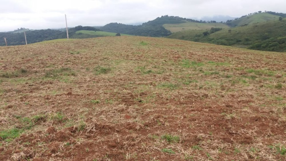 Fazenda, 178 hectares - Foto 13