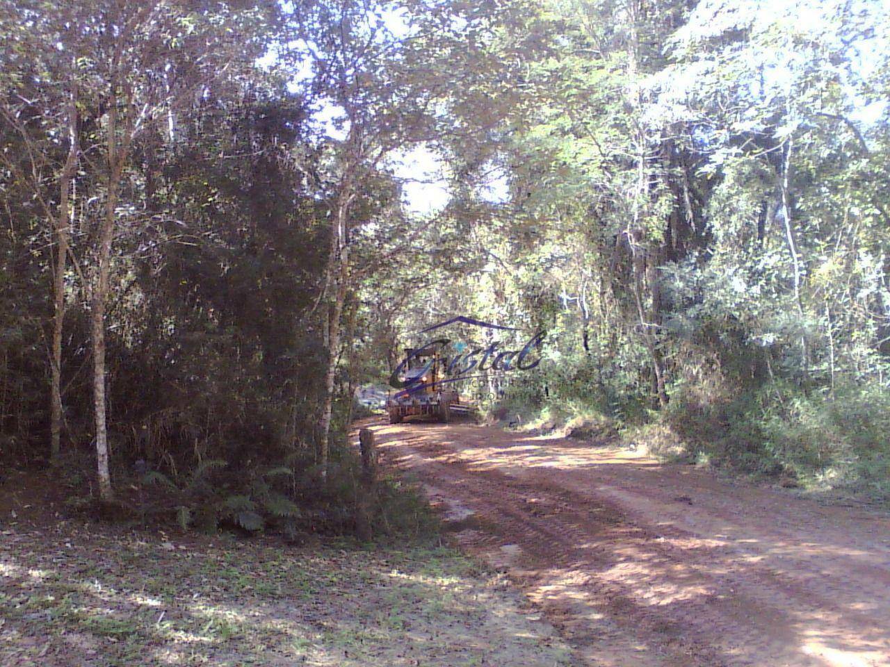 Terreno à venda, 1600M2 - Foto 11