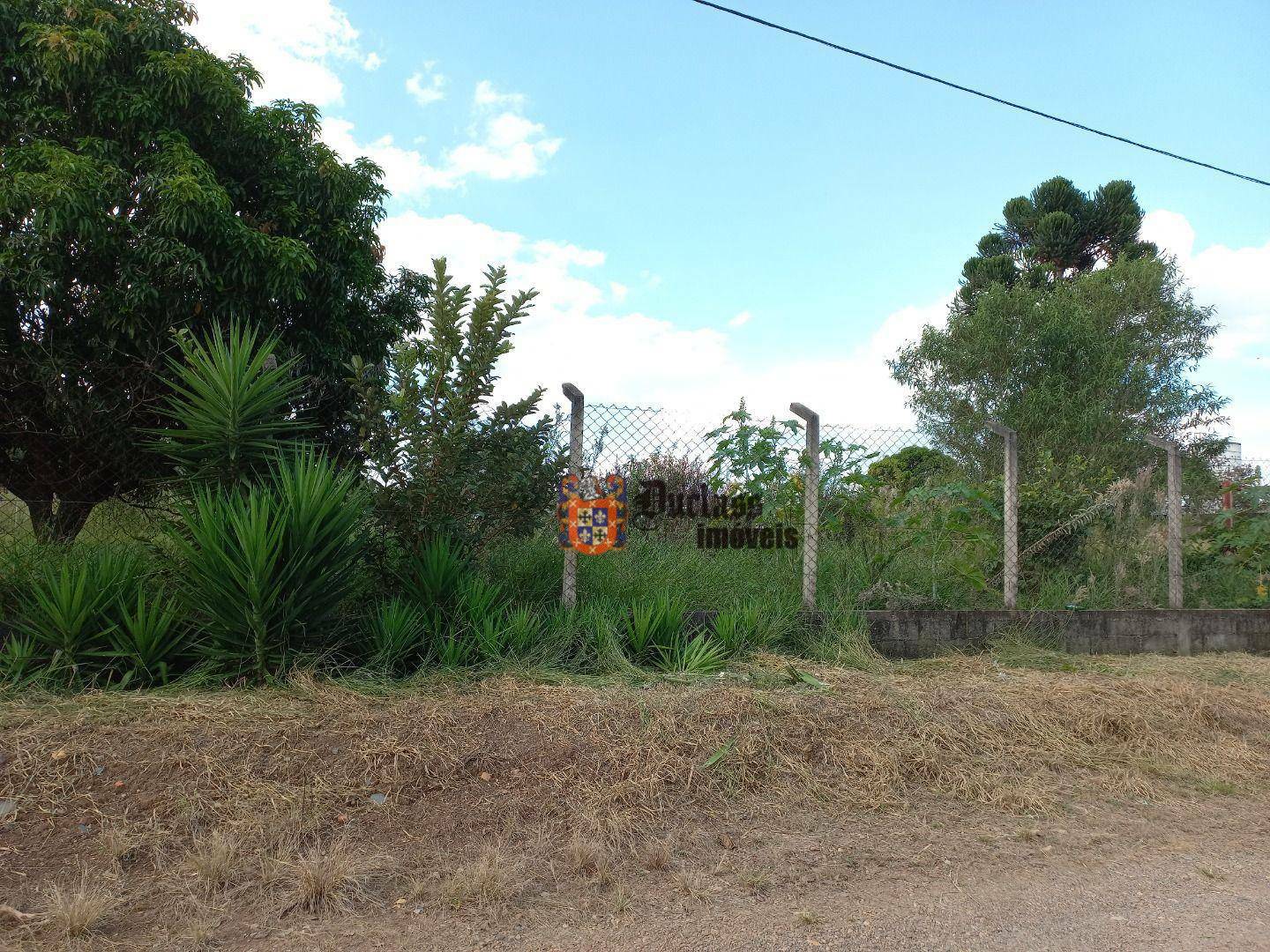 Terreno à venda, 800M2 - Foto 1