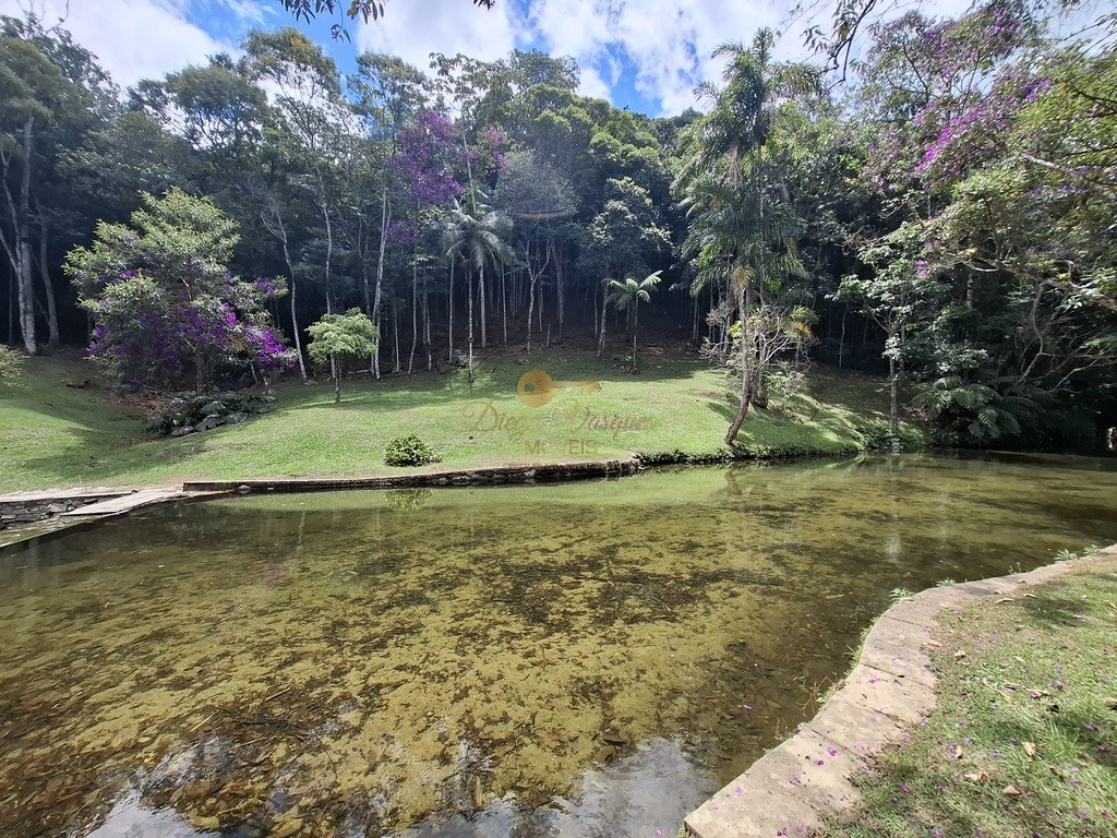 Casa à venda com 7 quartos, 3700m² - Foto 51