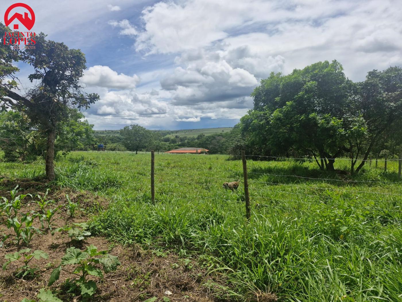 Fazenda à venda com 2 quartos, 120m² - Foto 22