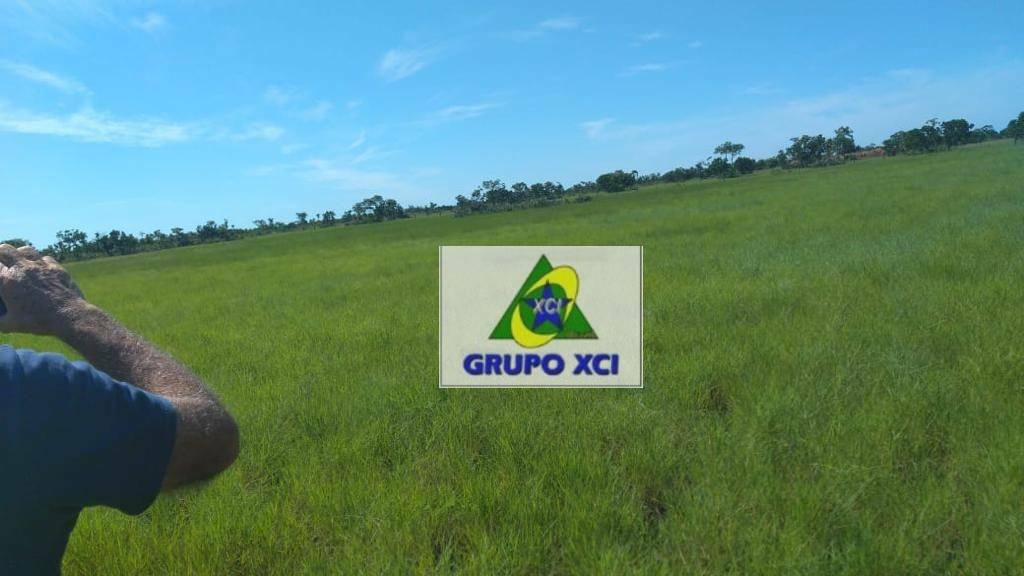 Fazenda, 14000 hectares - Foto 4