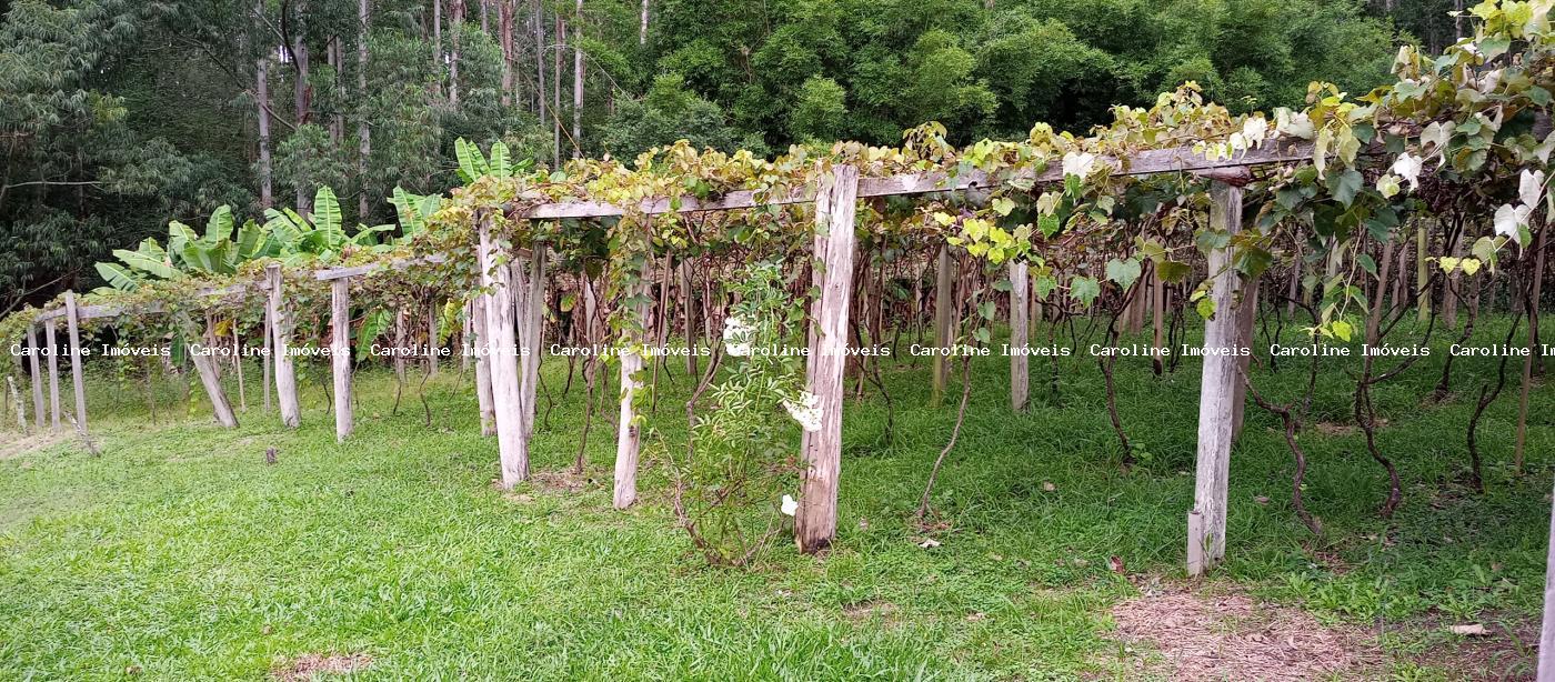 Fazenda à venda com 4 quartos, 418000m² - Foto 39