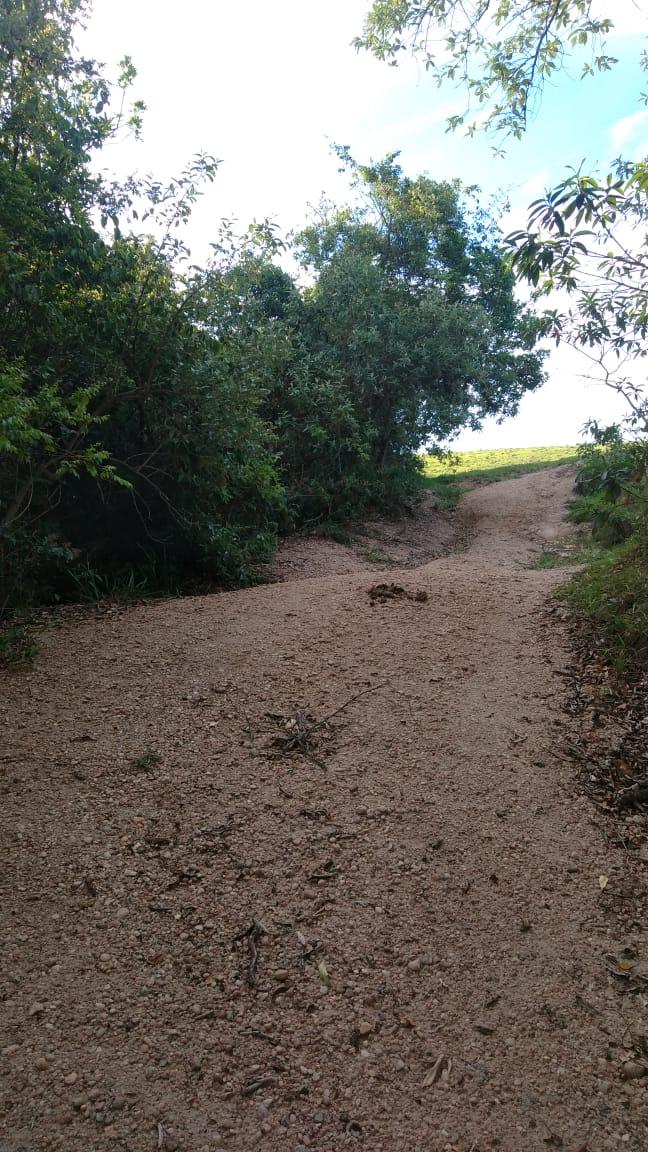 Fazenda à venda - Foto 2