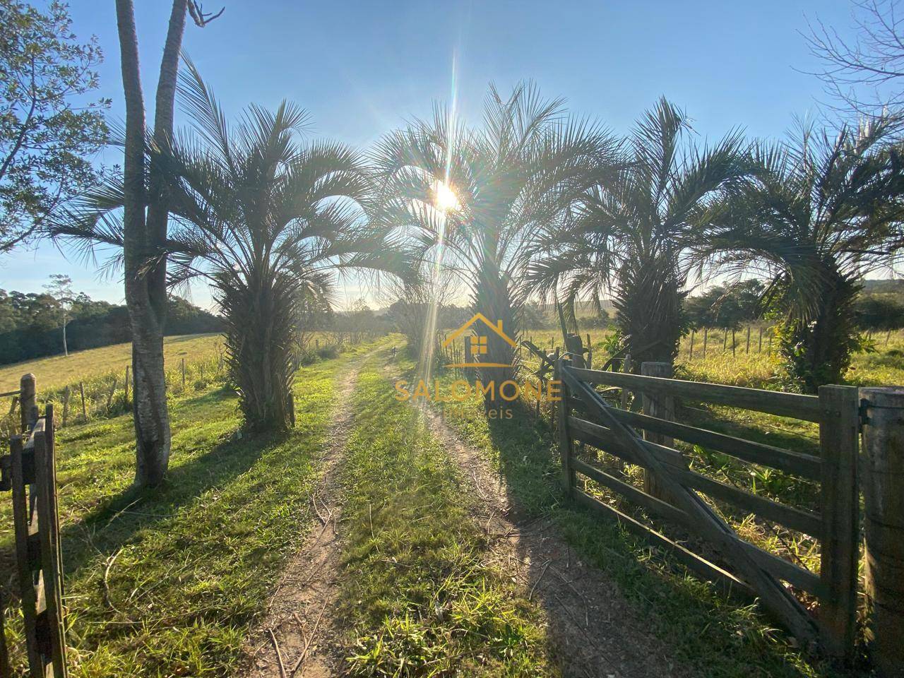 Sítio, 13 hectares - Foto 23