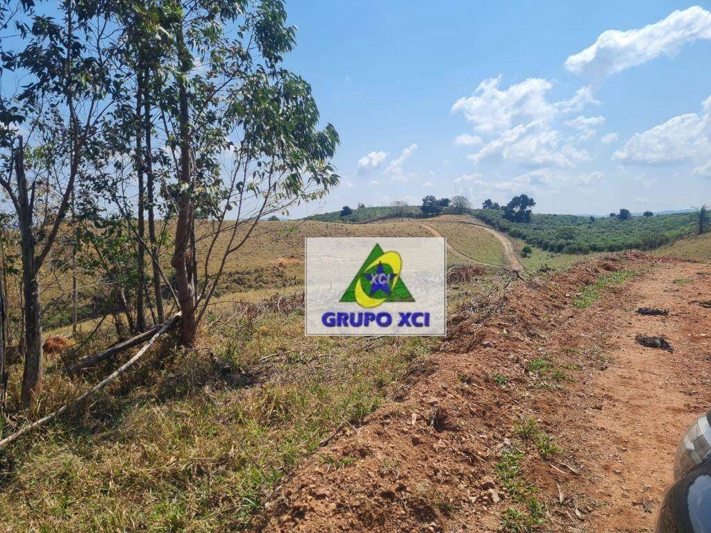 Fazenda-Sítio-Chácara, 250 hectares - Foto 33