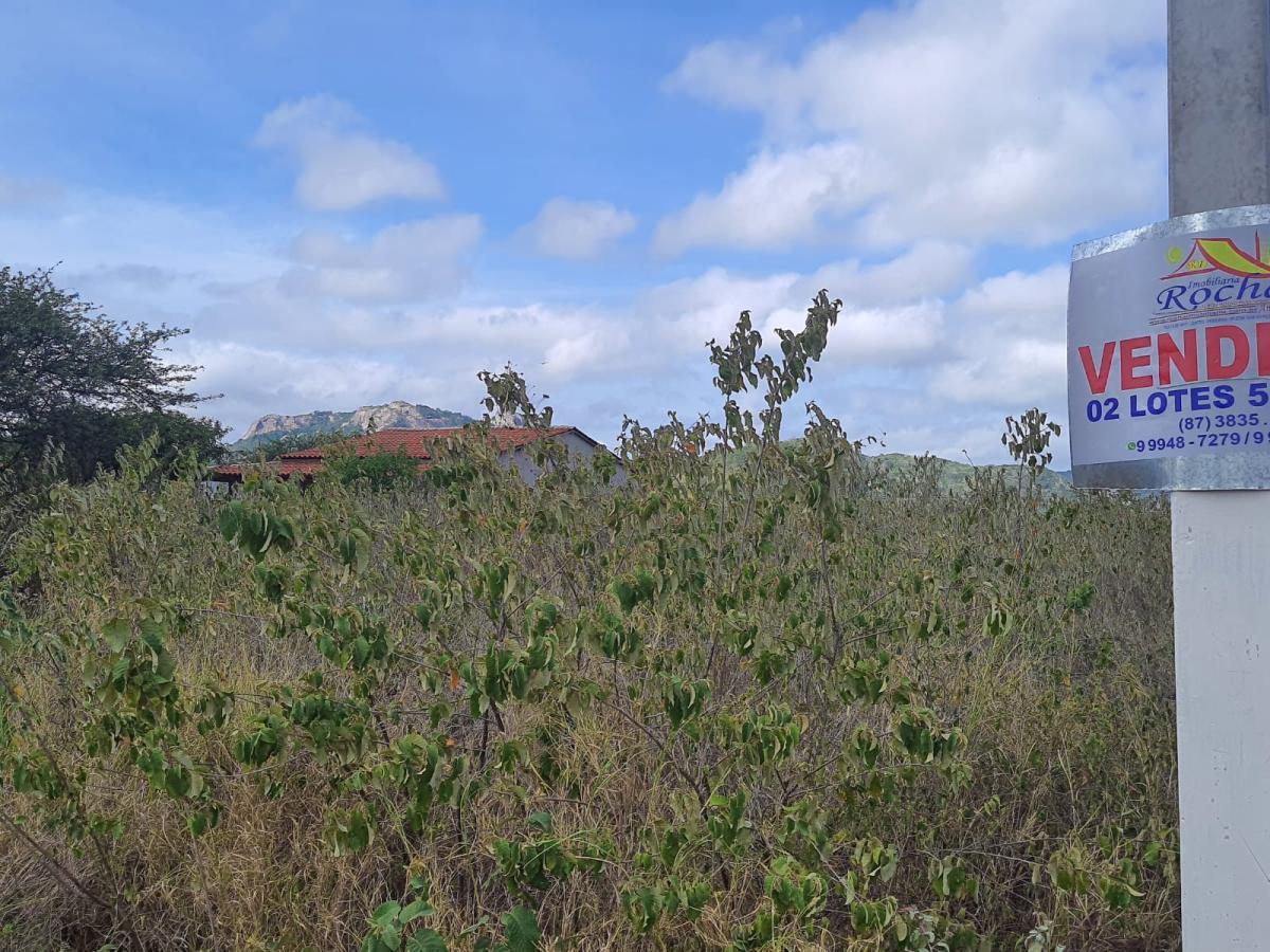 Terreno à venda, 5000m² - Foto 2