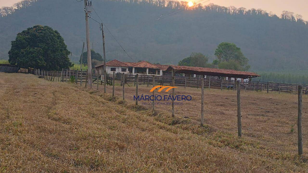 Fazenda, 121 hectares - Foto 9