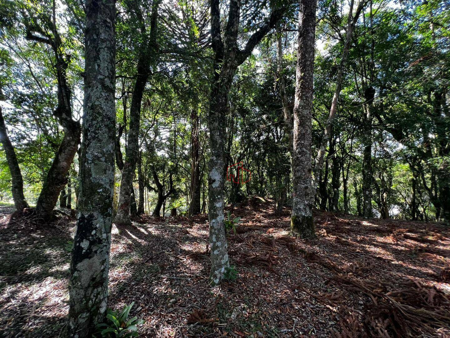 Loteamento e Condomínio à venda, 1435M2 - Foto 7