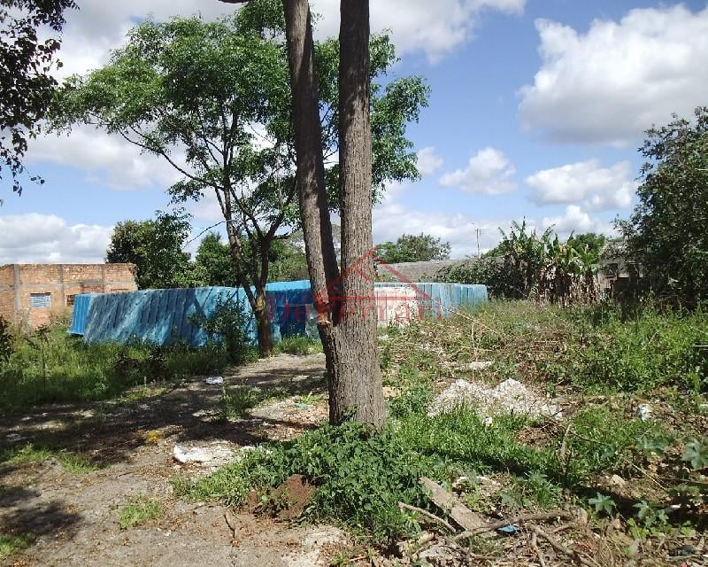 Terreno, 300 m² - Foto 2