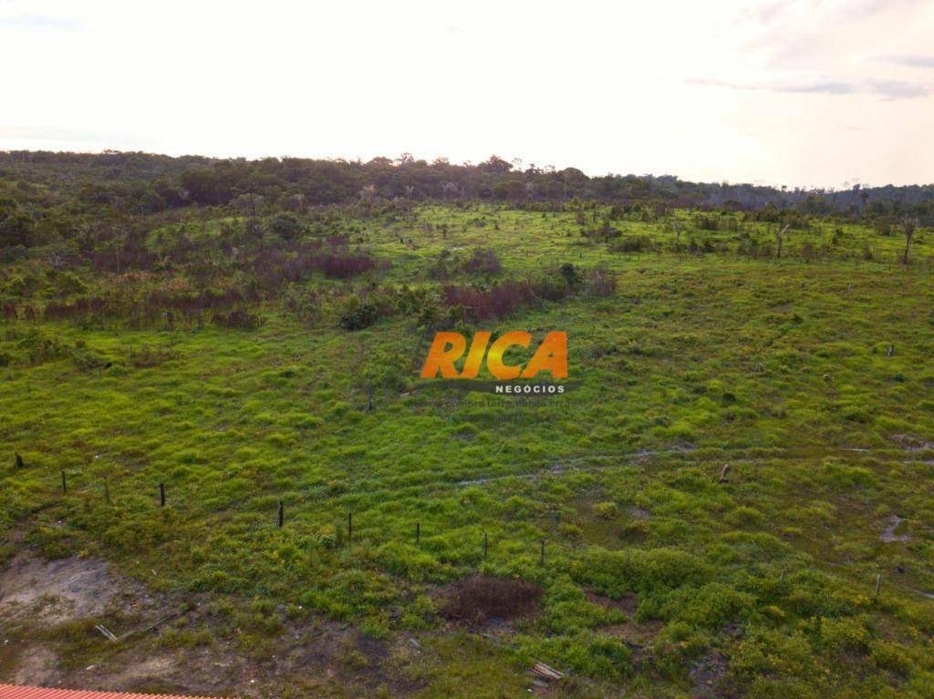 Fazenda à venda com 3 quartos, 4800000M2 - Foto 6