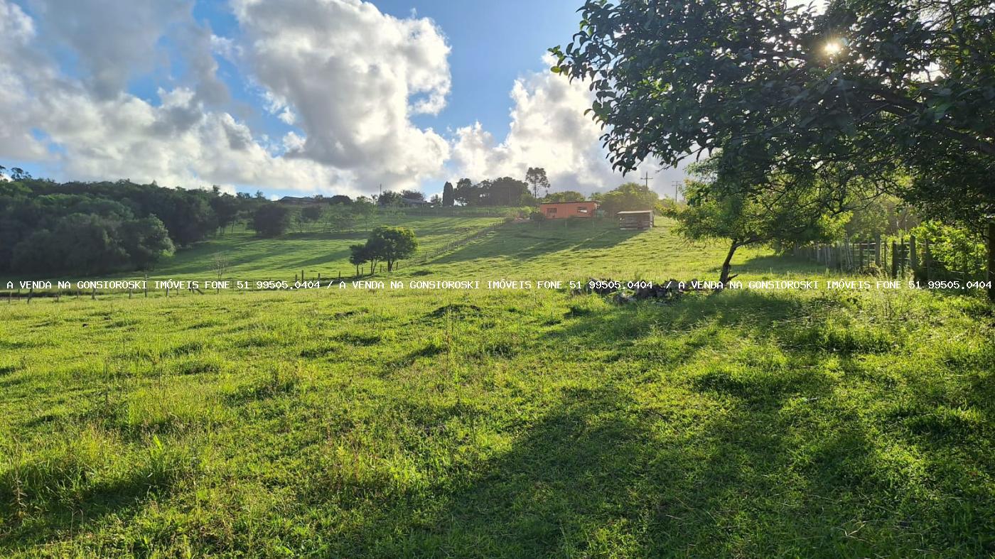 Sítio à venda com 2 quartos, 14500m² - Foto 6