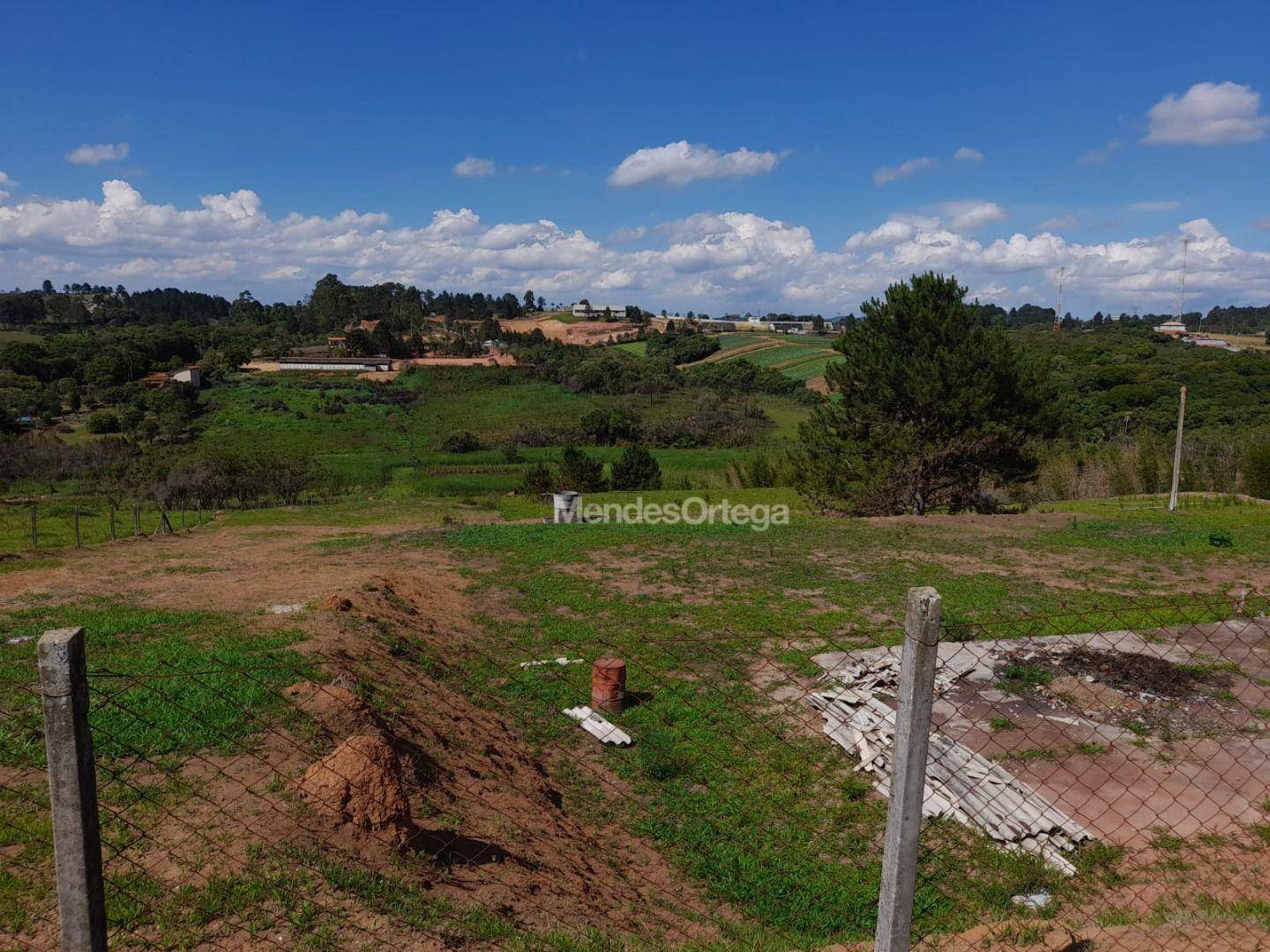 Terreno, 3 hectares - Foto 10