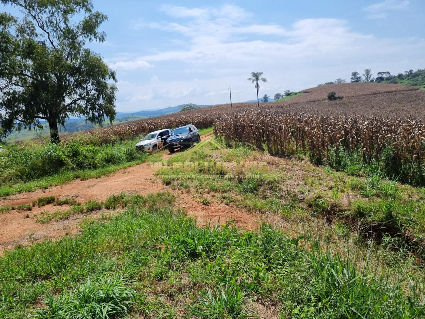 Fazenda à venda, 226m² - Foto 8