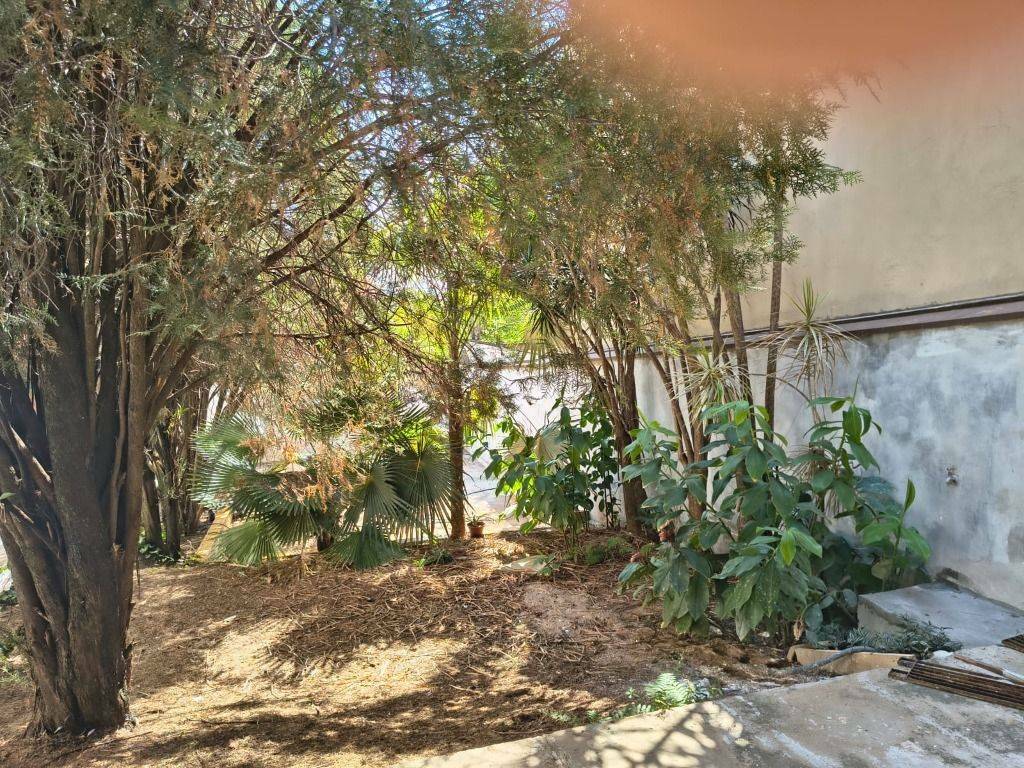 Casa, 3 quartos, 200 m² - Foto 16