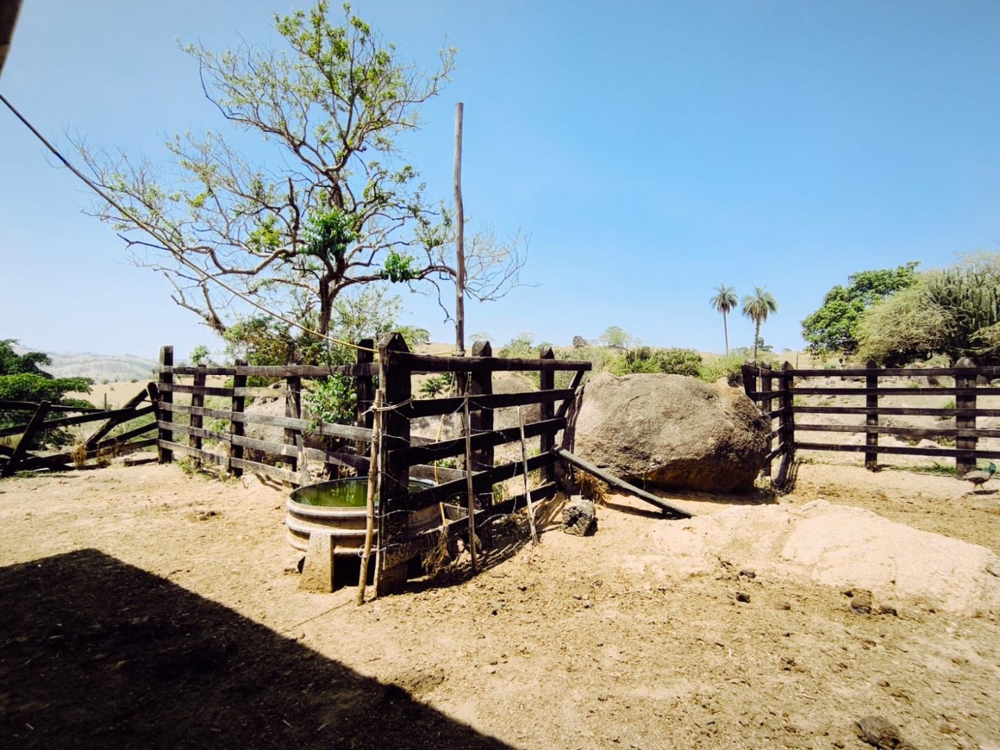 Sítio à venda com 8 quartos, 186000M2 - Foto 4