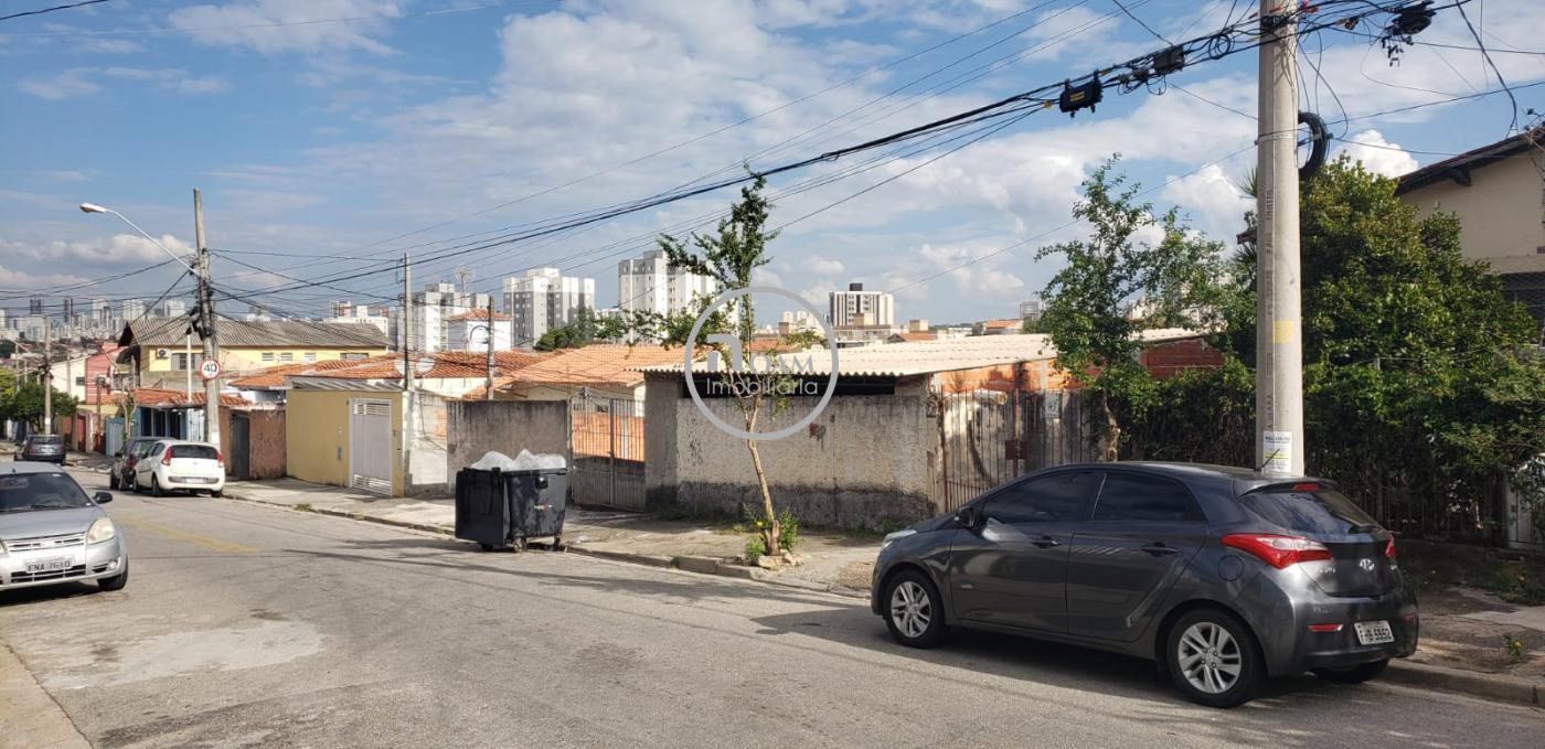 Terreno à venda com 1 quarto, 1200m² - Foto 6