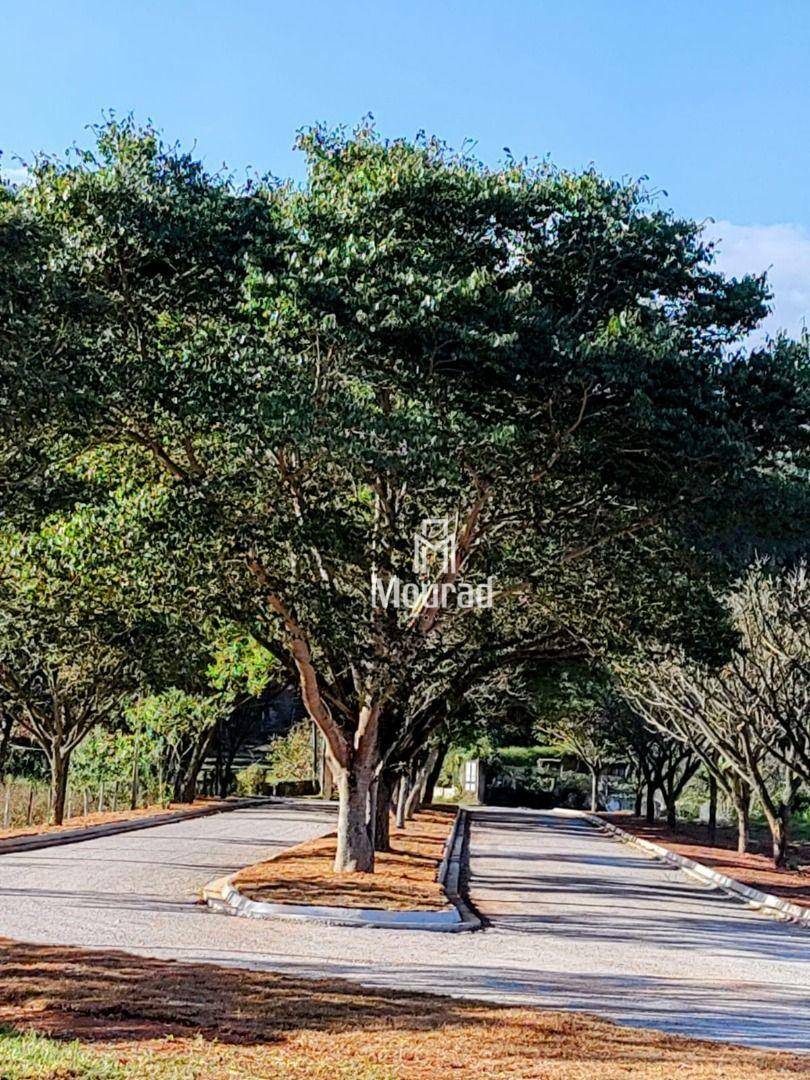 Loteamento e Condomínio à venda, 300M2 - Foto 6