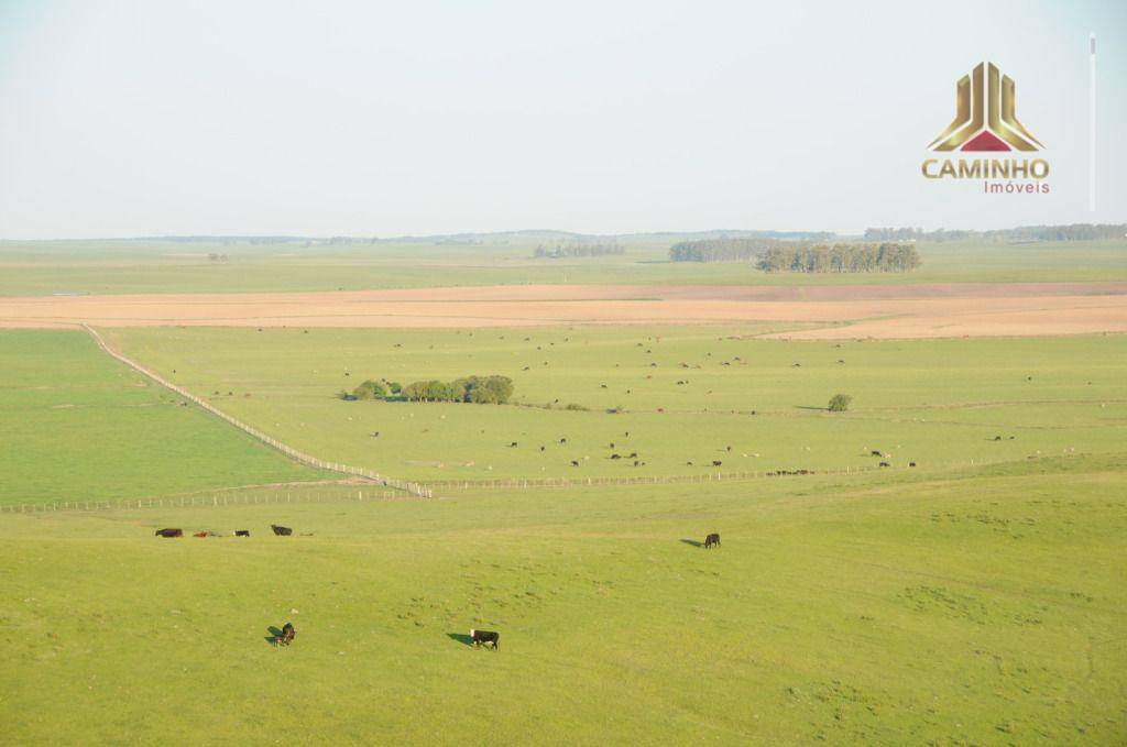 Fazenda à venda com 5 quartos, 33455000M2 - Foto 32