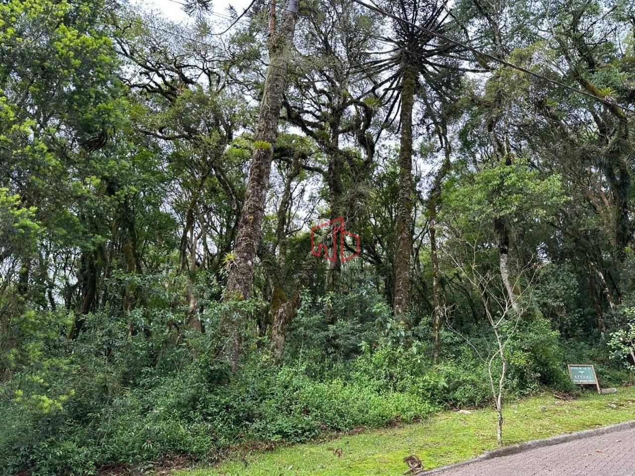 Loteamento e Condomínio, 782 m² - Foto 5