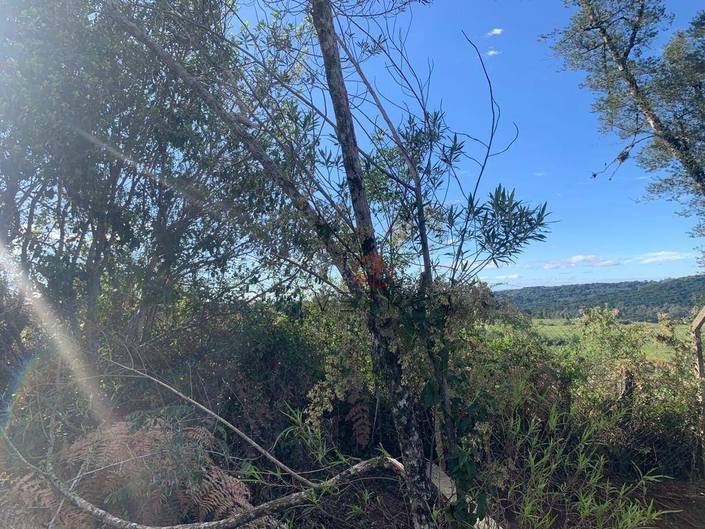 Loteamento e Condomínio à venda, 425M2 - Foto 3