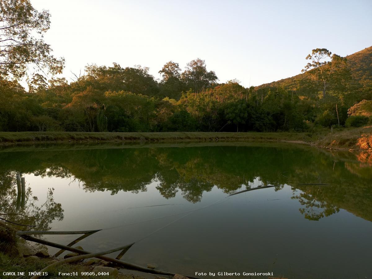 Fazenda à venda com 3 quartos, 586000m² - Foto 14