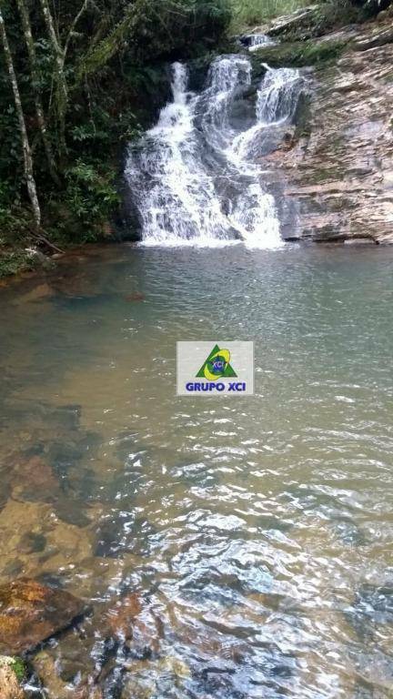 Fazenda-Sítio-Chácara, 101640 hectares - Foto 8