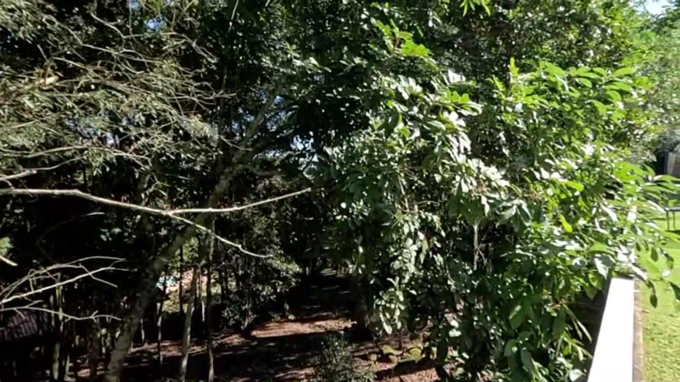 Casa de Condomínio à venda com 4 quartos, 2237m² - Foto 6