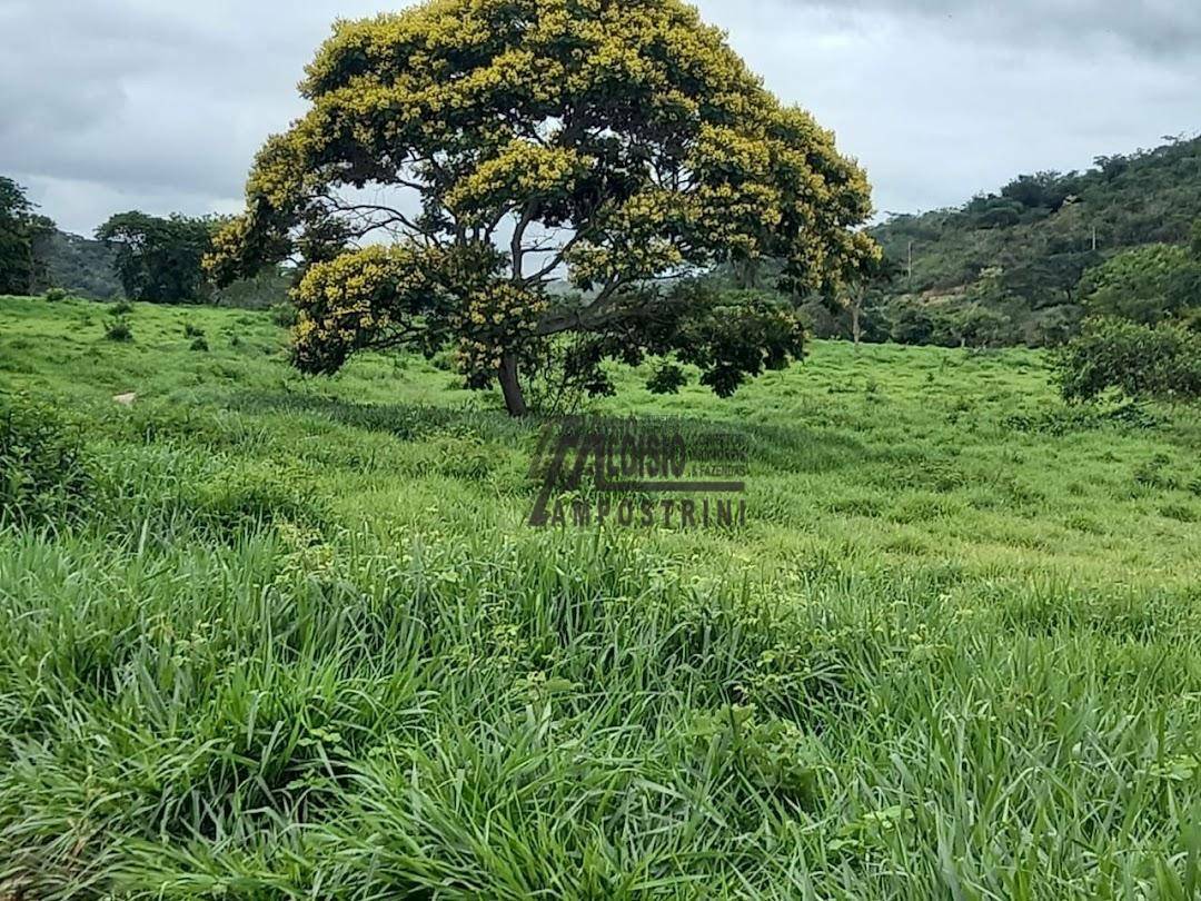 Fazenda à venda, 60984000M2 - Foto 13