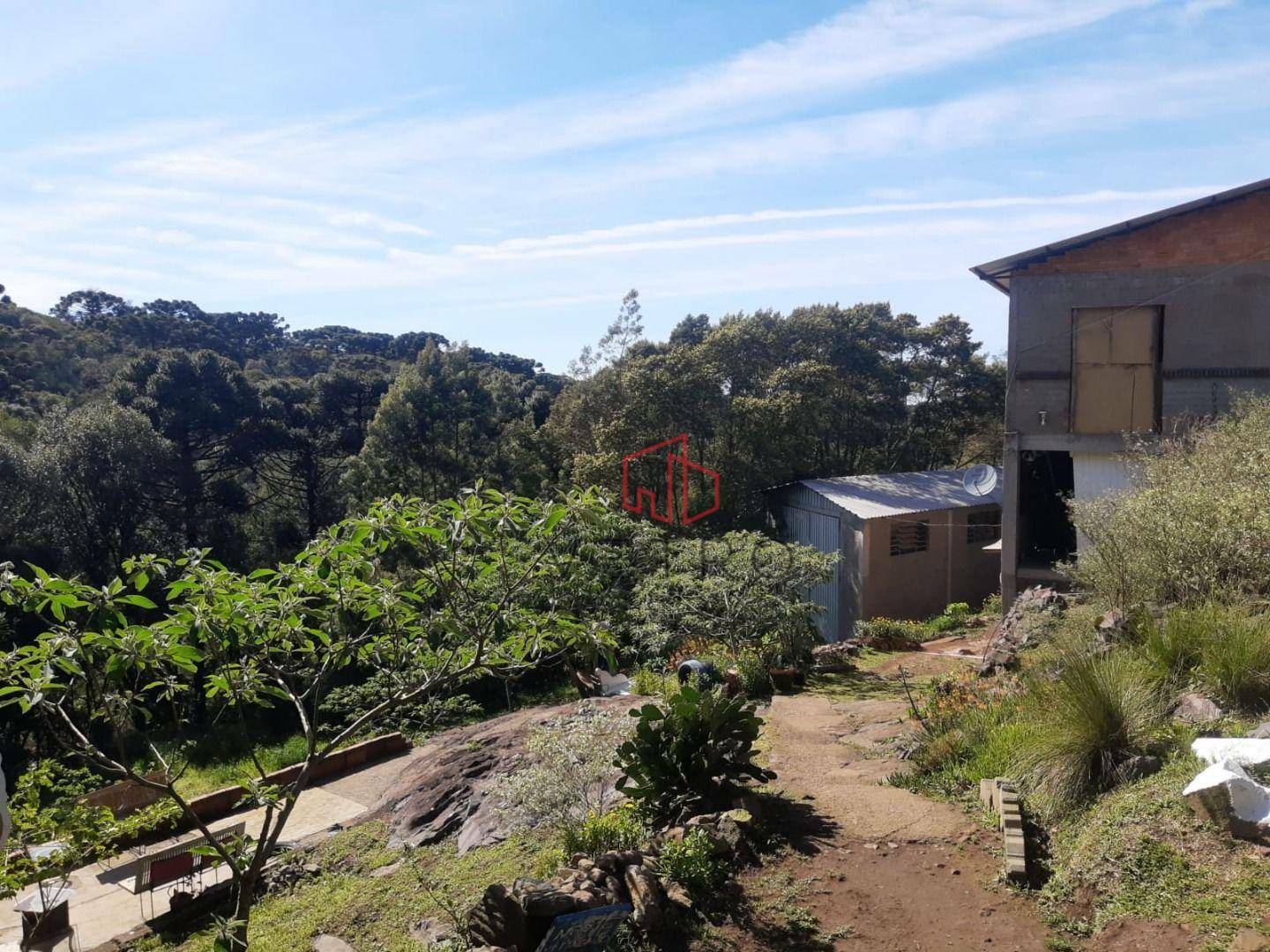 Terreno, 5000 m² - Foto 4