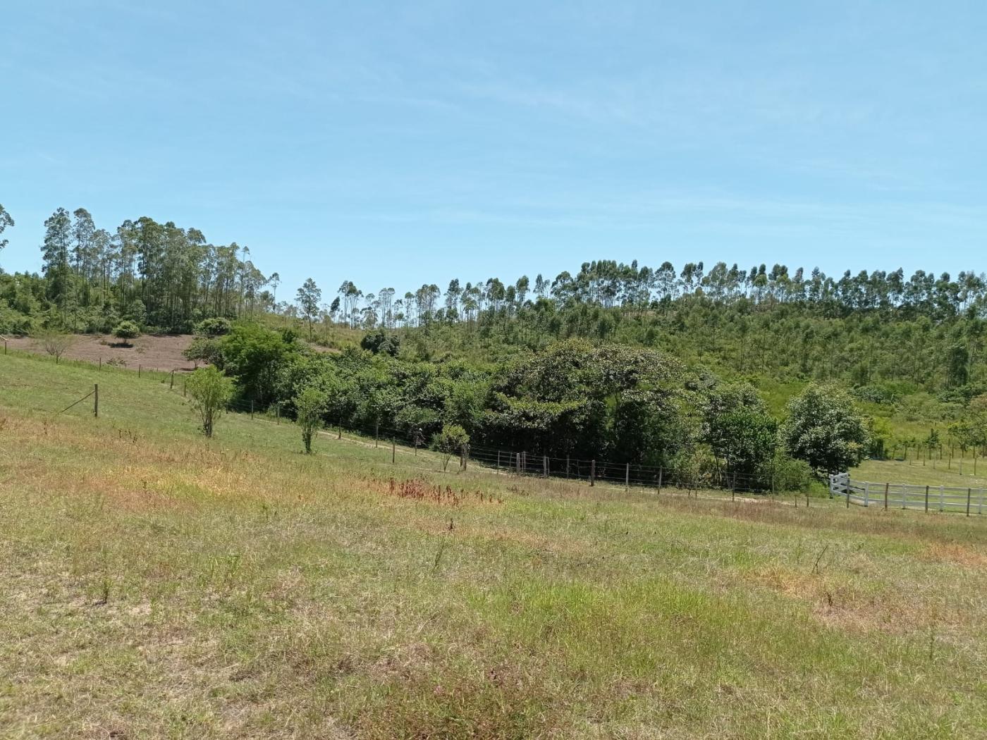 Fazenda à venda com 3 quartos, 80000m² - Foto 2