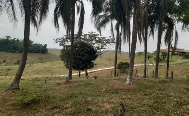 Sítio à venda com 3 quartos, 87000m² - Foto 22