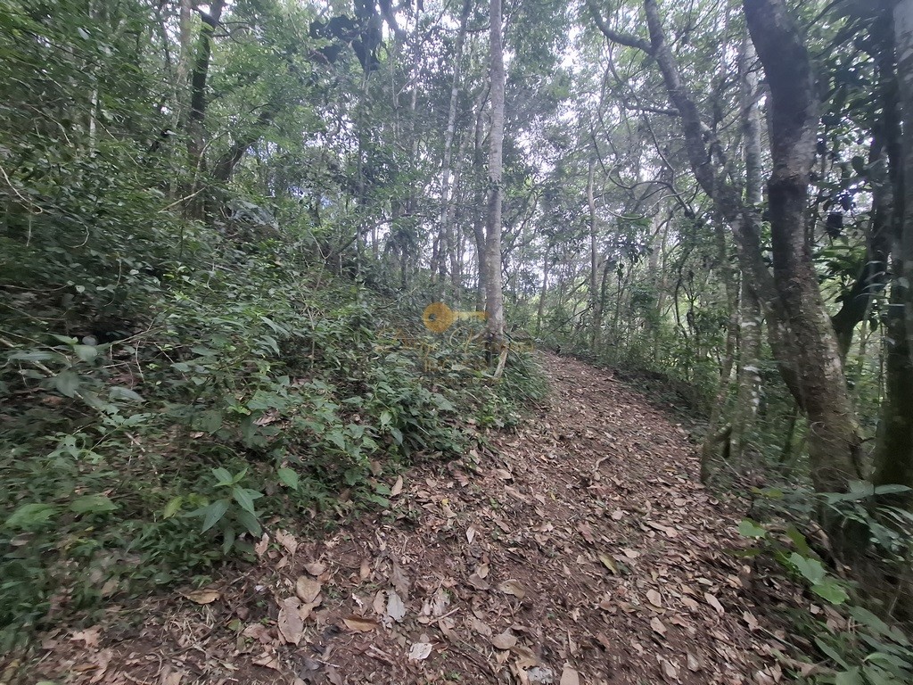 Terreno à venda, 216036m² - Foto 11