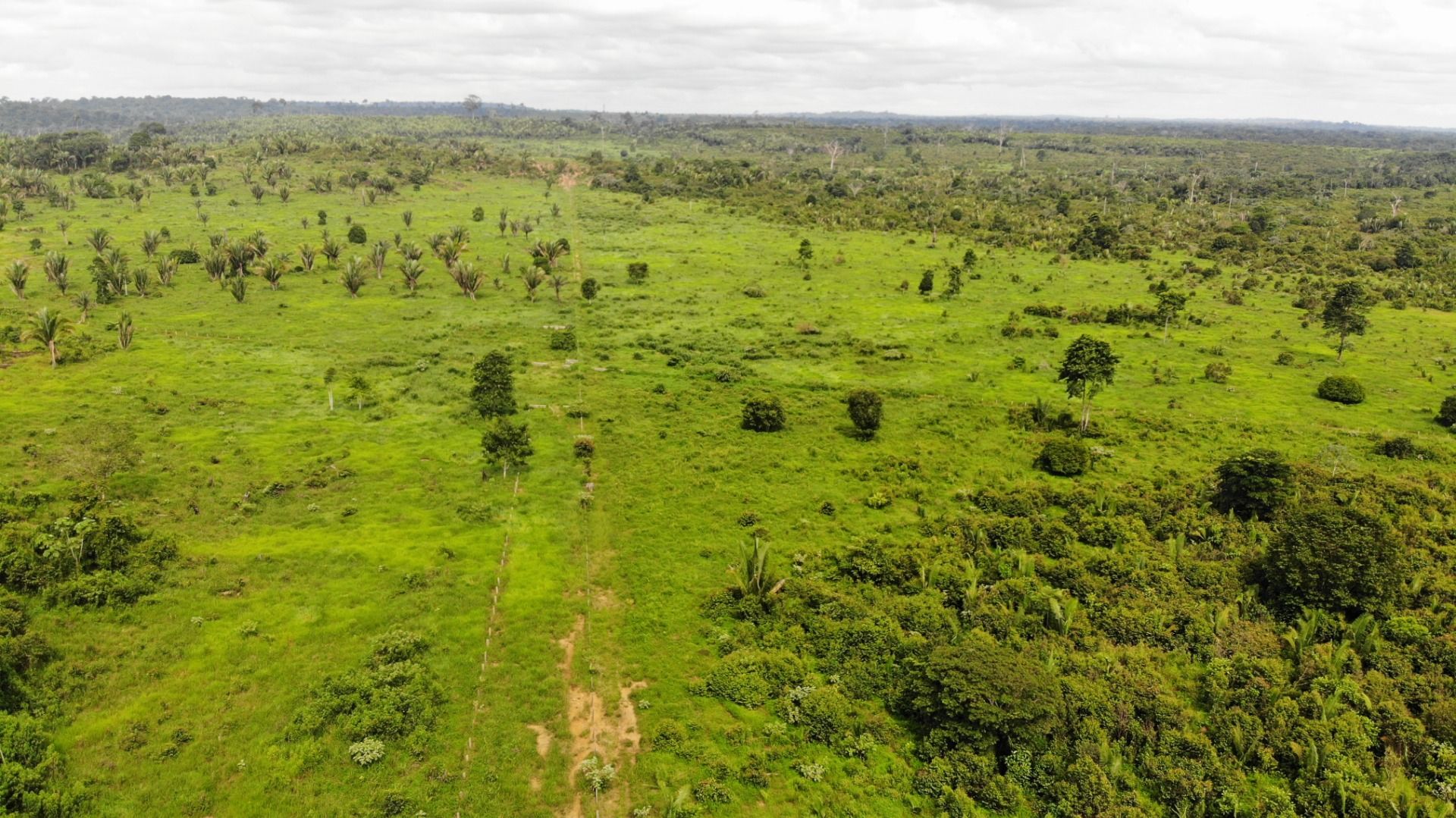 Fazenda à venda, 13648800M2 - Foto 14