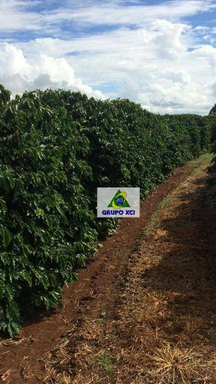 Fazenda-Sítio-Chácara, 101640 hectares - Foto 35