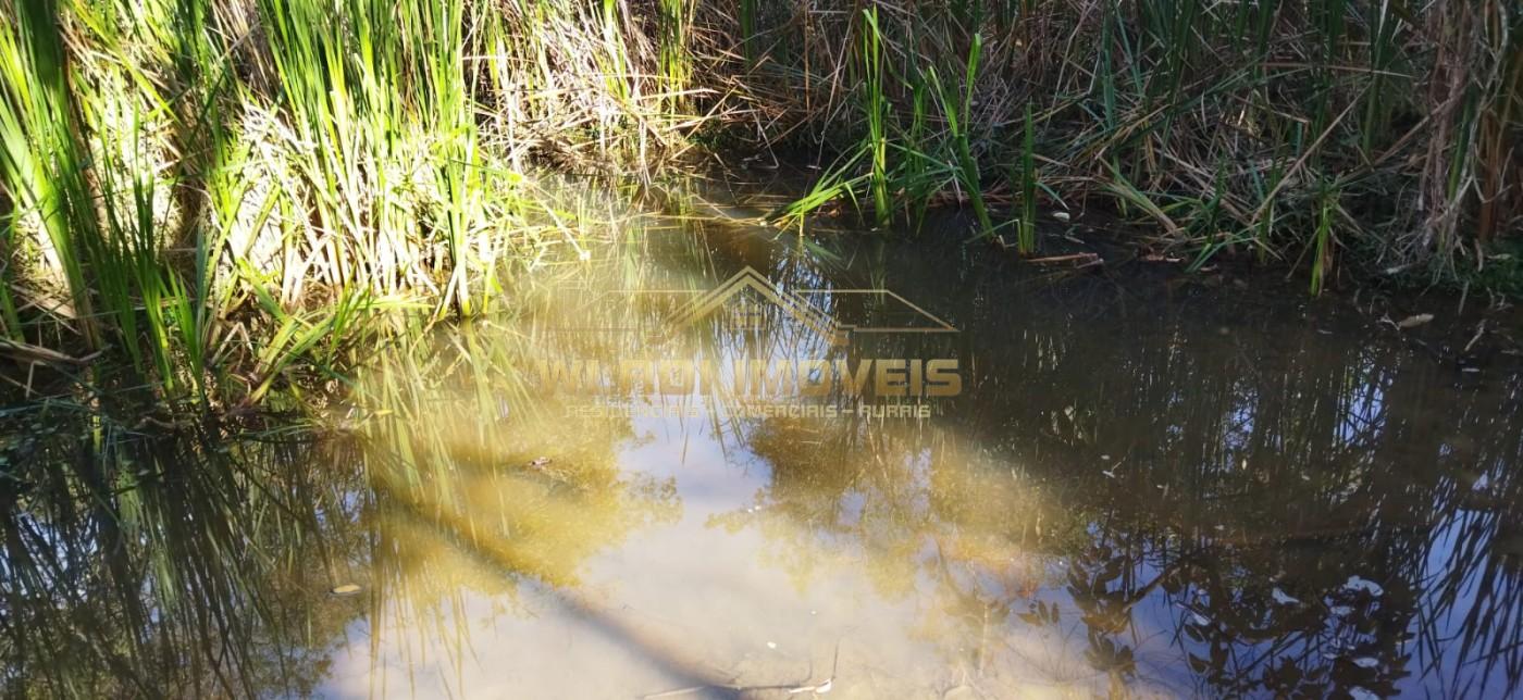 Fazenda-Sítio-Chácara, 75 m² - Foto 6