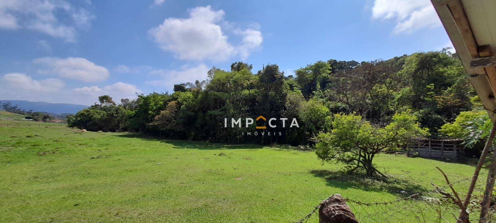 Chácara à venda com 3 quartos, 12000M2 - Foto 4