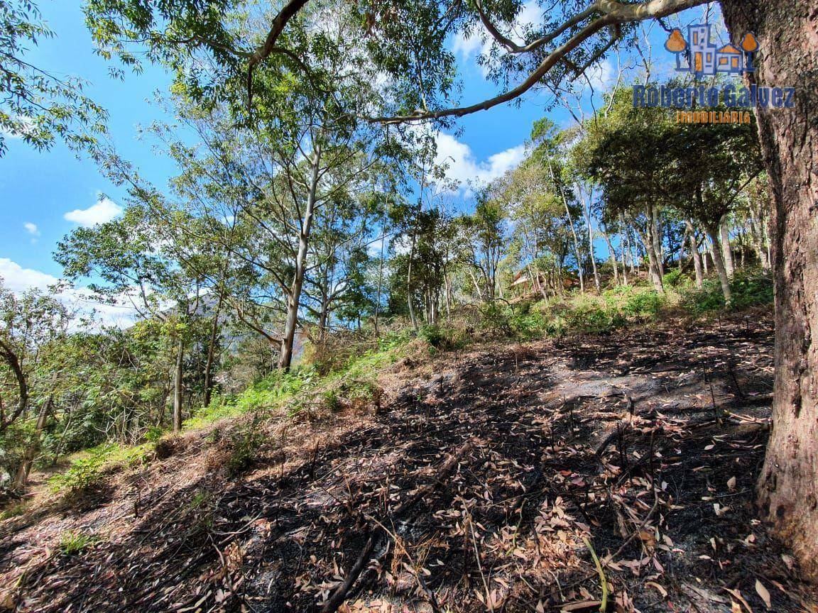 Terreno à venda, 2934M2 - Foto 3