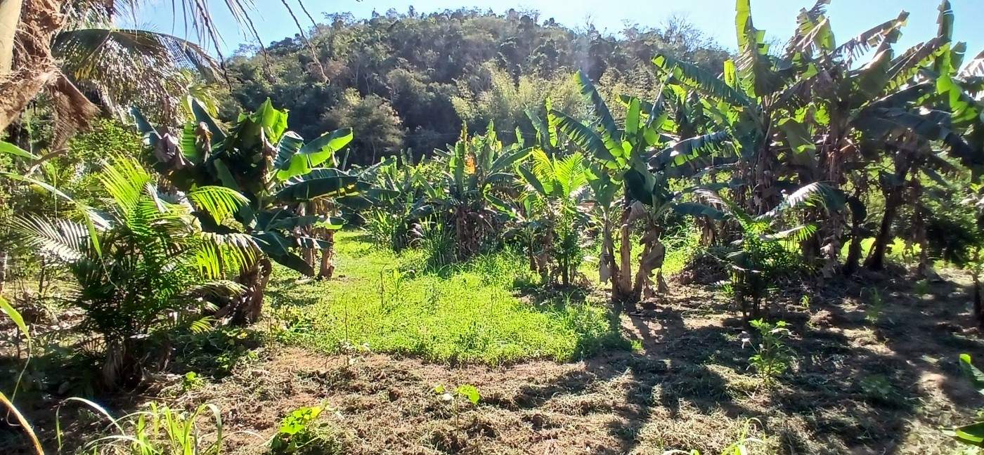 Sítio à venda com 1 quarto, 24800m² - Foto 18