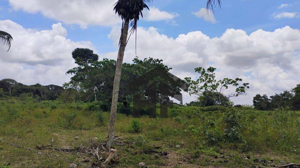 Terreno à venda, 5000M2 - Foto 9