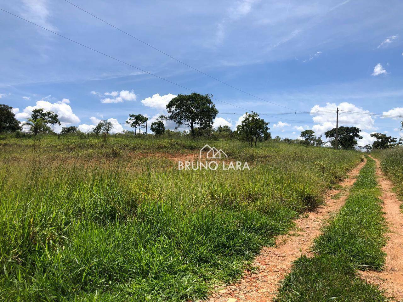 Terreno à venda, 5000M2 - Foto 6