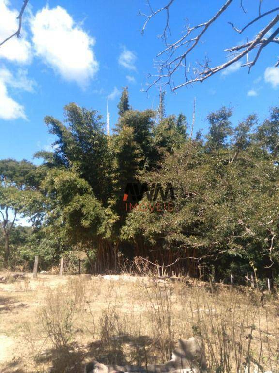 Fazenda à venda, 3963960M2 - Foto 4