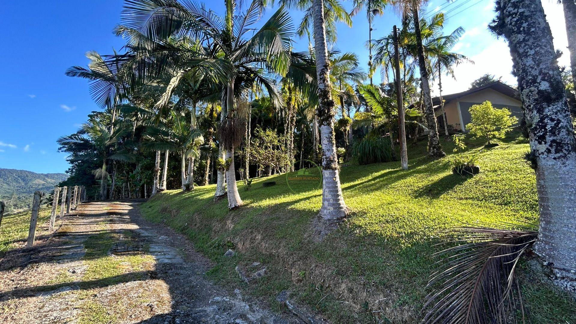 Sítio, 3 hectares - Foto 10