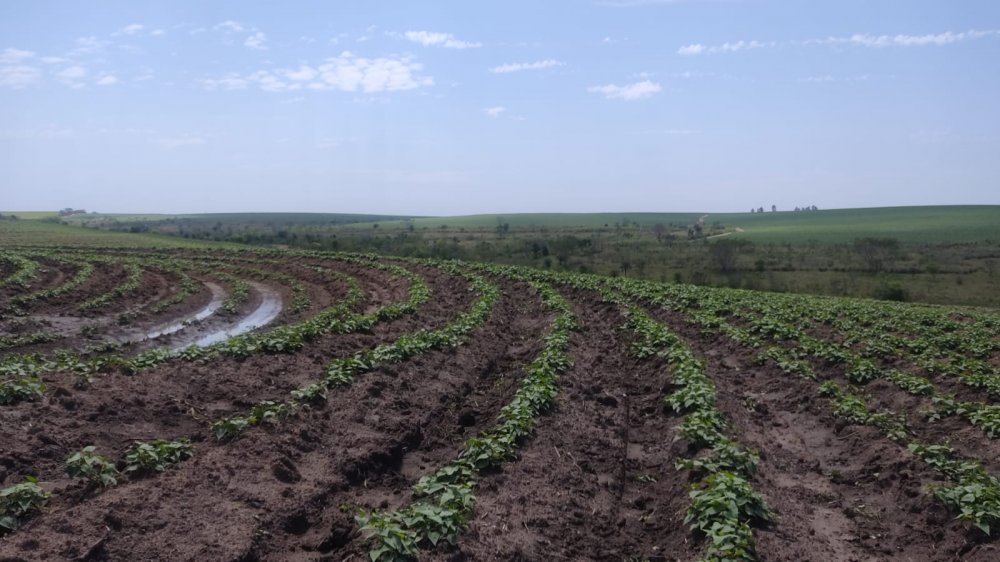 Fazenda à venda, 190m² - Foto 2