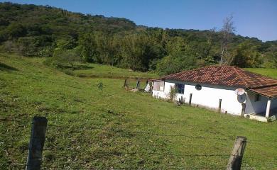 Fazenda à venda com 3 quartos, 40000m² - Foto 5