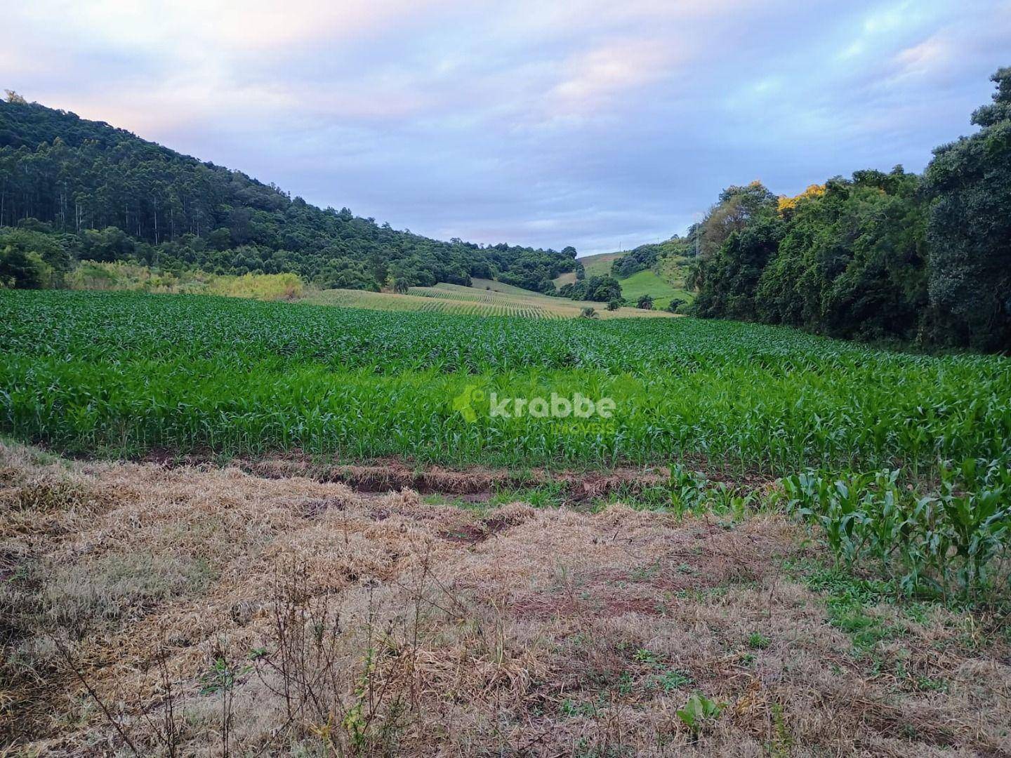 Terreno, 15 hectares - Foto 4