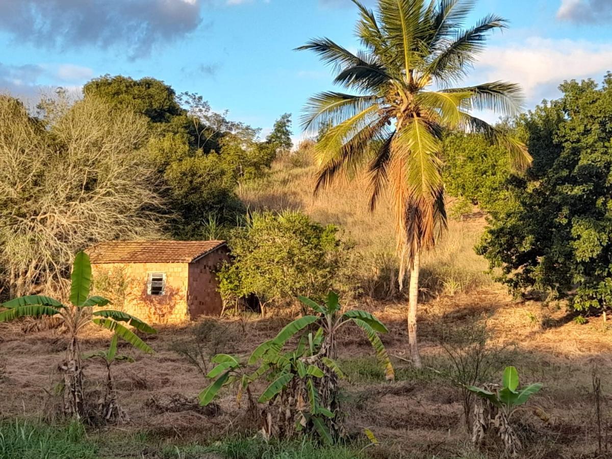 Terreno à venda, 5000m² - Foto 2