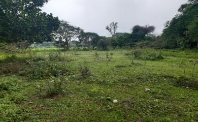 Fazenda à venda com 4 quartos, 15000m² - Foto 13