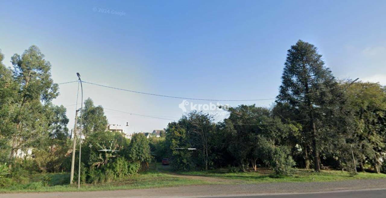 Terreno à venda, 2600M2 - Foto 2