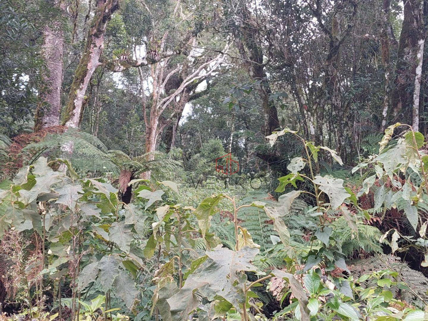 Loteamento e Condomínio à venda, 4060M2 - Foto 4